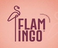Flamingo - Egypt