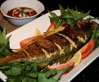 سمك و أسماك