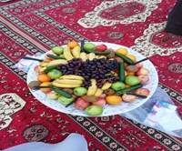 ديوانية مشار