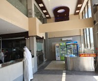 The Golden Kindergarten