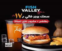 وادي البرجر