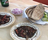 ابو احمد للكبدة