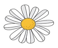 ذا كايند ونز