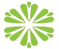 أروما لاونج - مصر 